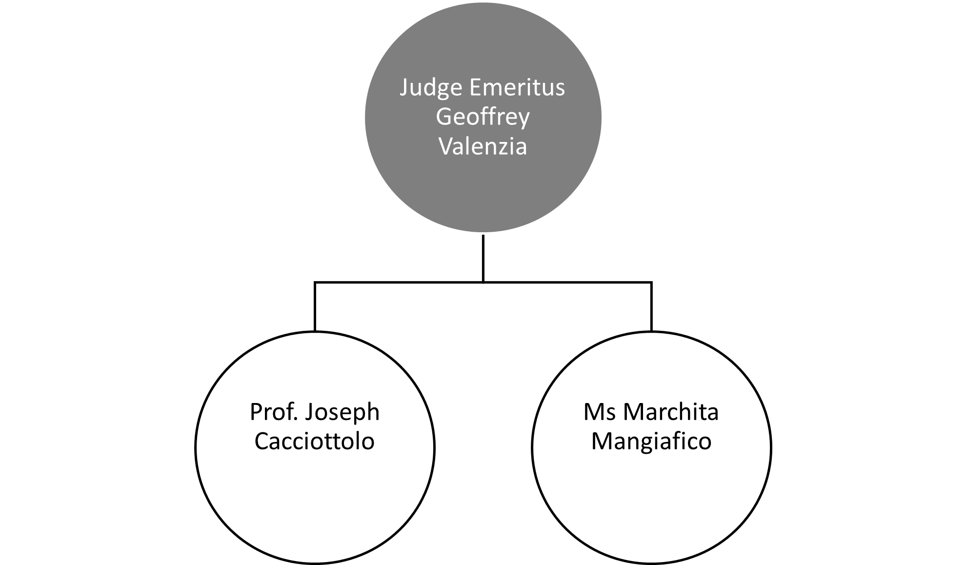 Guardianship Structure EN